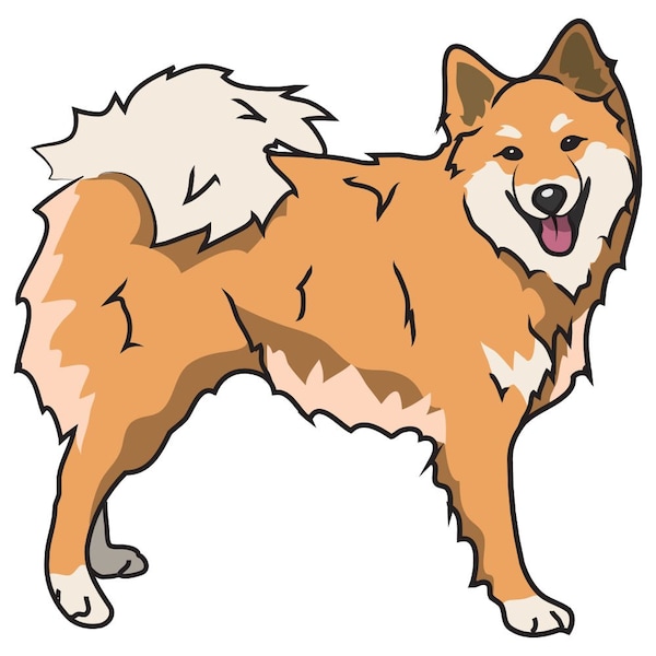 Signmission Icelandic Sheepdog Dog Decal, Dog Lover Decor Vinyl Sticker D-12-Icelandic Sheepdog - main
